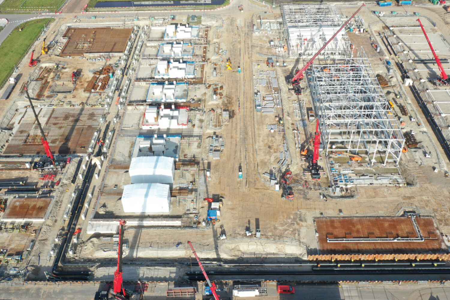 n2-plant-gallery-2